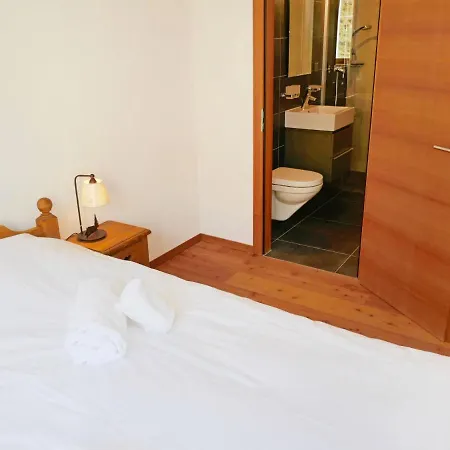 Rosablanche E 108 By Interhome Siviez
